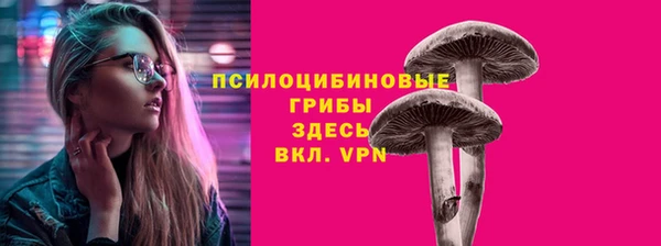 соль ск Аркадак
