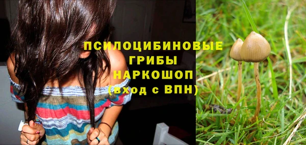 соль ск Аркадак