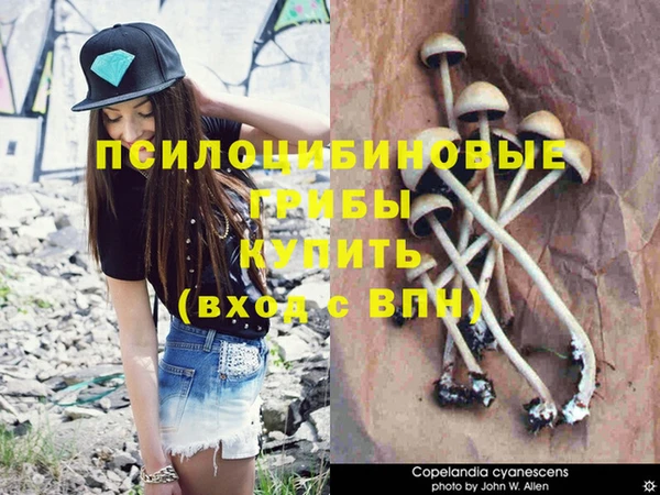 дживик Армянск