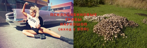 дживик Армянск