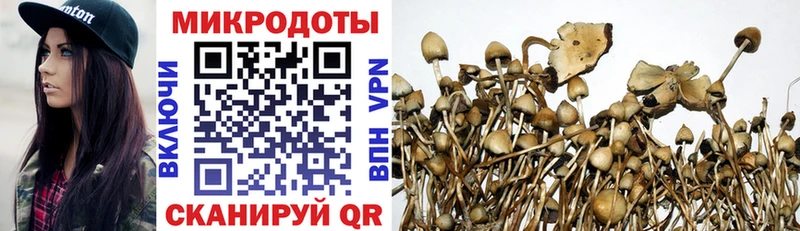 где можно купить   Покровск  Псилоцибиновые грибы Magic Shrooms 